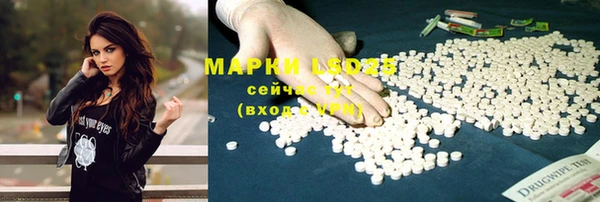 ECSTASY Армянск
