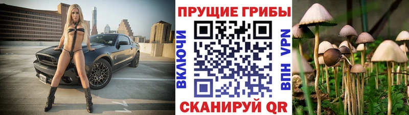 Галлюциногенные грибы Magic Shrooms  наркотики  Вилючинск 