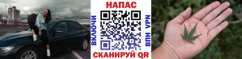 Бошки марихуана MAZAR  как найти наркотики  Вилючинск 